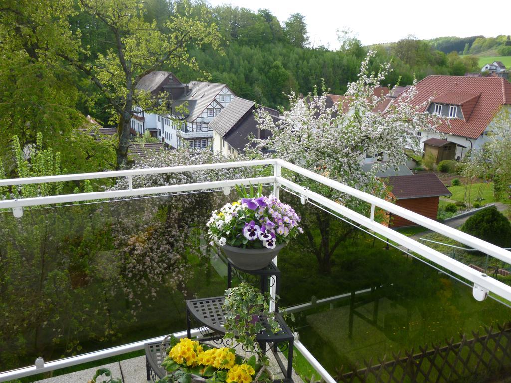 Ferienwohnung Dommes Fuhrbach エクステリア 写真